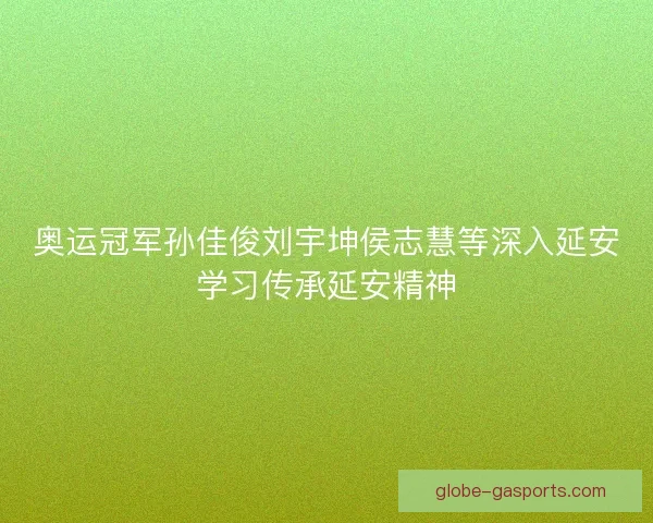 奥运冠军孙佳俊刘宇坤侯志慧等深入延安学习传承延安精神